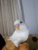 P_20170218_232457_BF.jpg