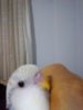 P_20170218_232252_BF.jpg