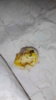 IMG-20170219-WA0009.jpeg