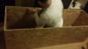 20170218_221945.jpg