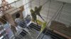 IMG-20170218-WA0001.jpg