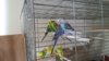IMG-20170218-WA0004.jpg