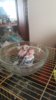 IMG-20170222-WA0006.jpeg