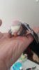IMG-20170222-WA0004.jpeg