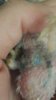 20170222_102131.jpg