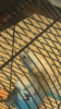 IMG_1965.PNG