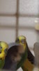 20170225_231817.jpg