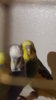 20170225_231844.jpg