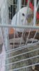 20170301_190434.jpg