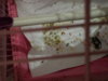 IMG_20170305_204305.jpg