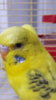20170306_214554.jpg