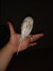 IMG_20170306_234716.jpg