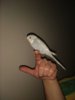 IMG_20170306_234633.jpg