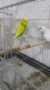 20170308_003010.jpg