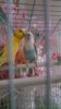 20170218_075943.jpg
