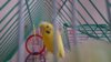 20170218_075834.jpg
