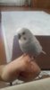 20170310_123511.jpg