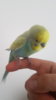 20170311_122058.jpg