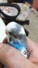 20170314_194514.jpg