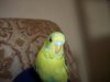 100_2210.JPG