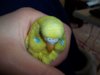 100_2205.JPG