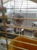 20170318_101325.jpg