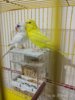 IMG_20170316_011419.jpg