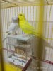 IMG_20170316_011417.jpg