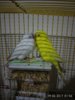 IMG_20170319_015605_HHT.jpg
