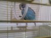 P_20170325_192710_BF.jpg