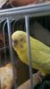 IMAG0178.jpg