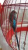 20170405_095029.jpg