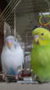 20170402_223758.jpg
