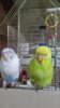 20170402_223416.jpg