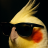 Zeonifixx